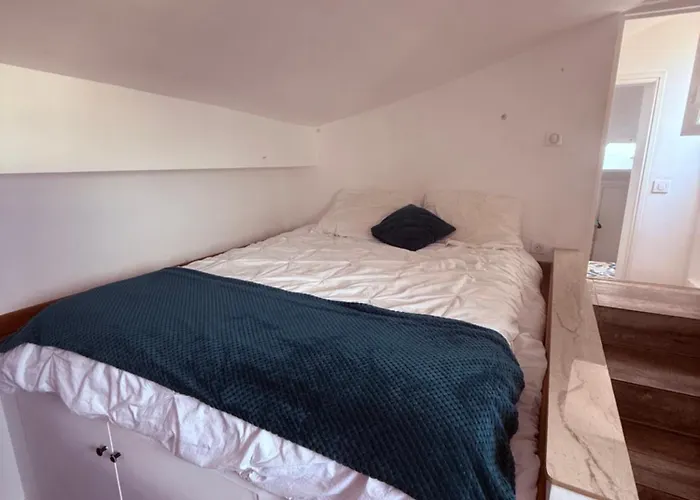 Charme, Pierres, Vieil *