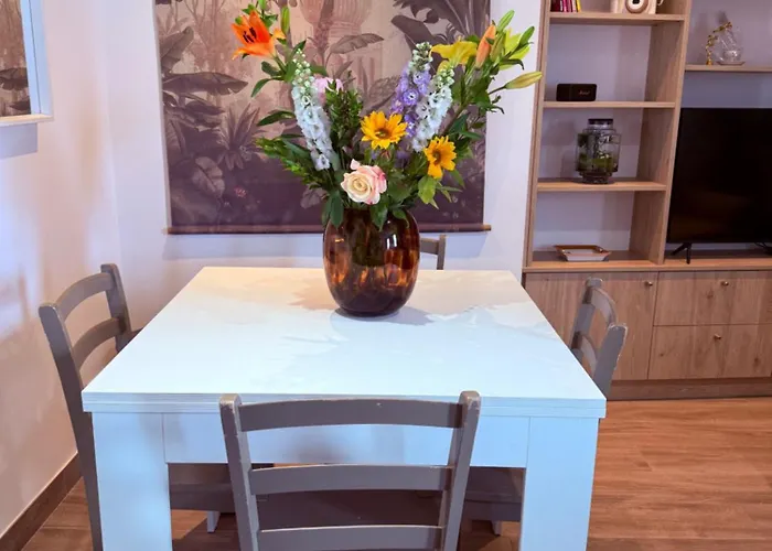 Charme, Pierres, Vieil Antibes